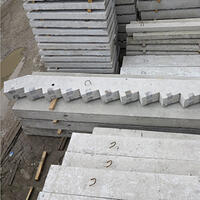 Косоуры мостовые: внешний вид